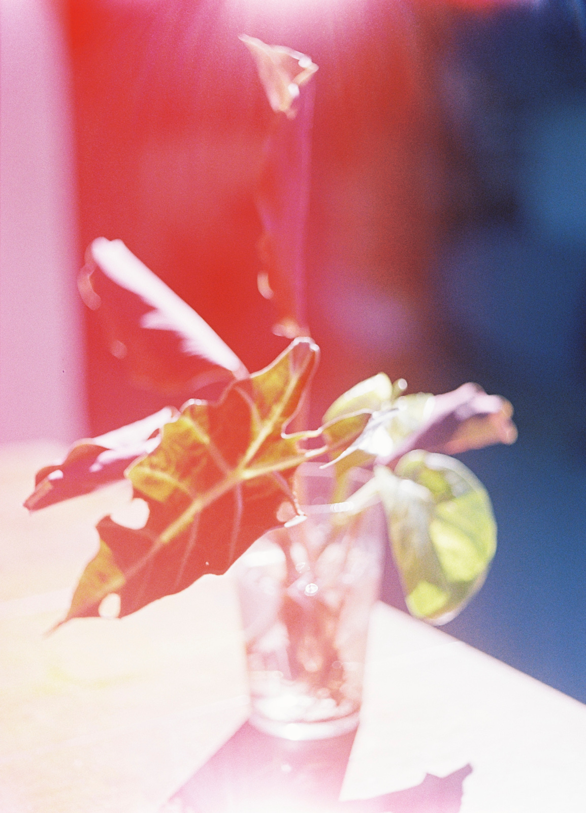 Mari Giudicelli - Rio De Janeiro