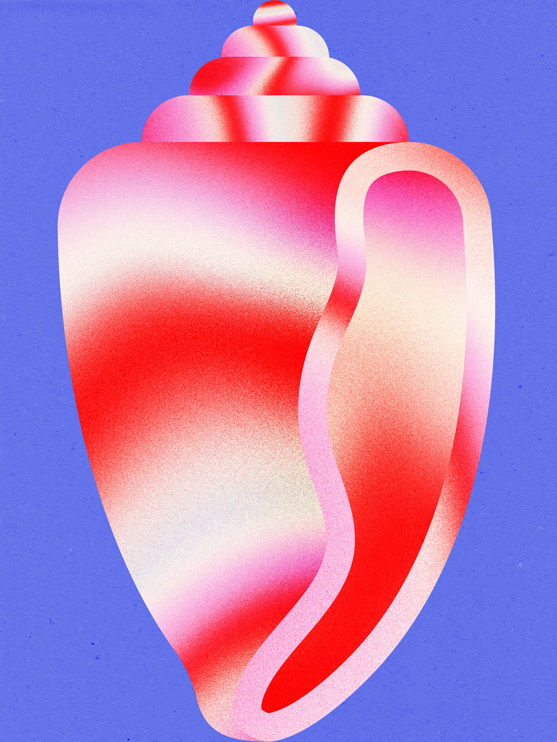 Shells