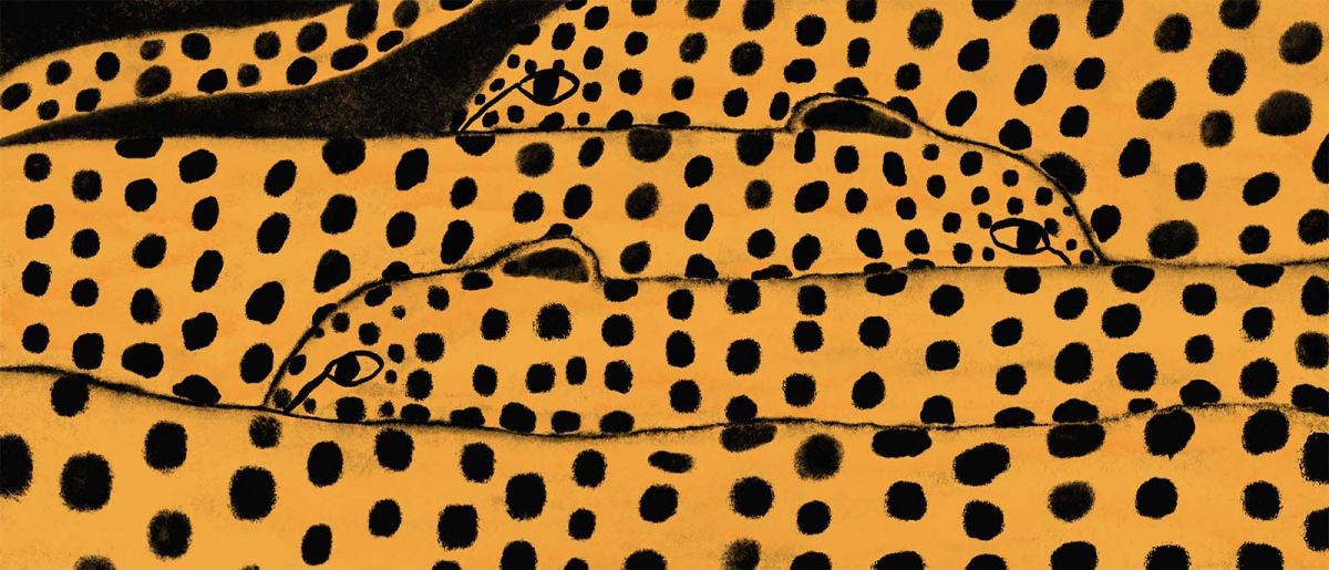 Big Cats