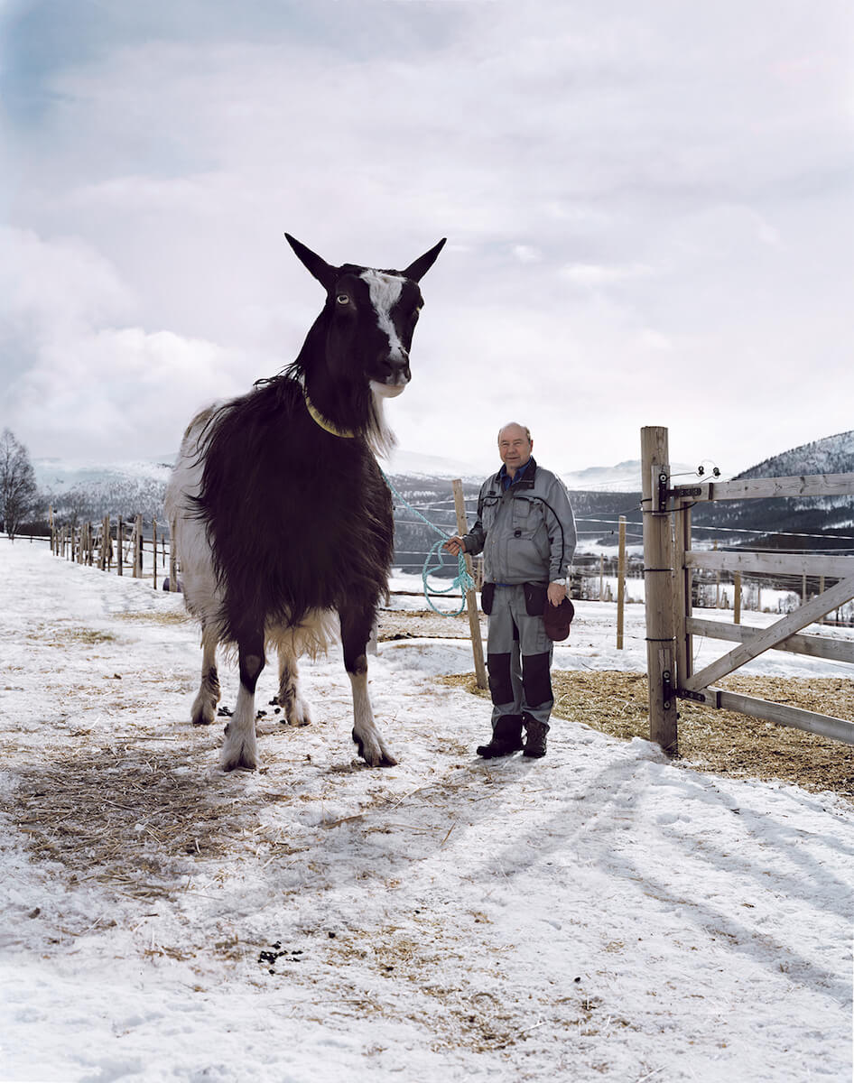 Synnøve Finden - New Goat Cheese With More Goat