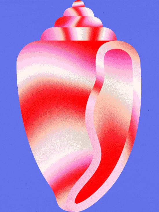 Shells