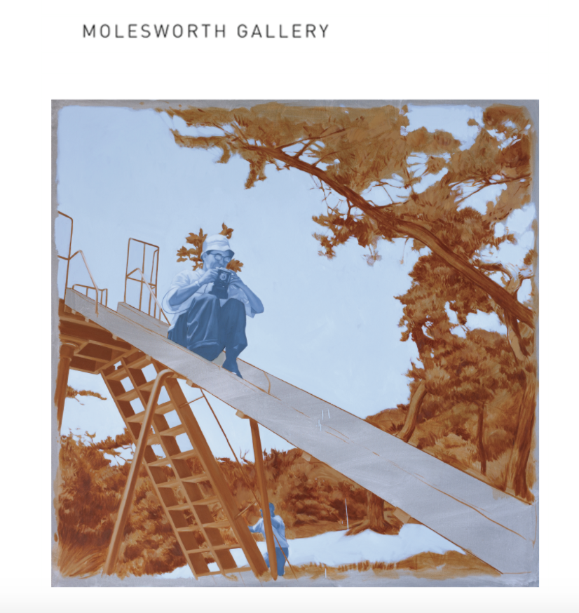Solo show Molesworth Gallery