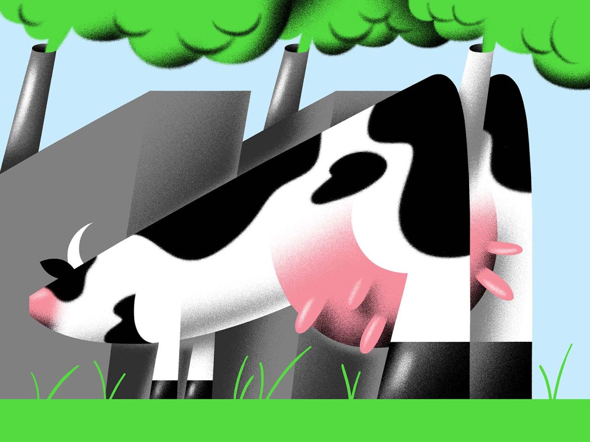 Bloomberg - Biofuels